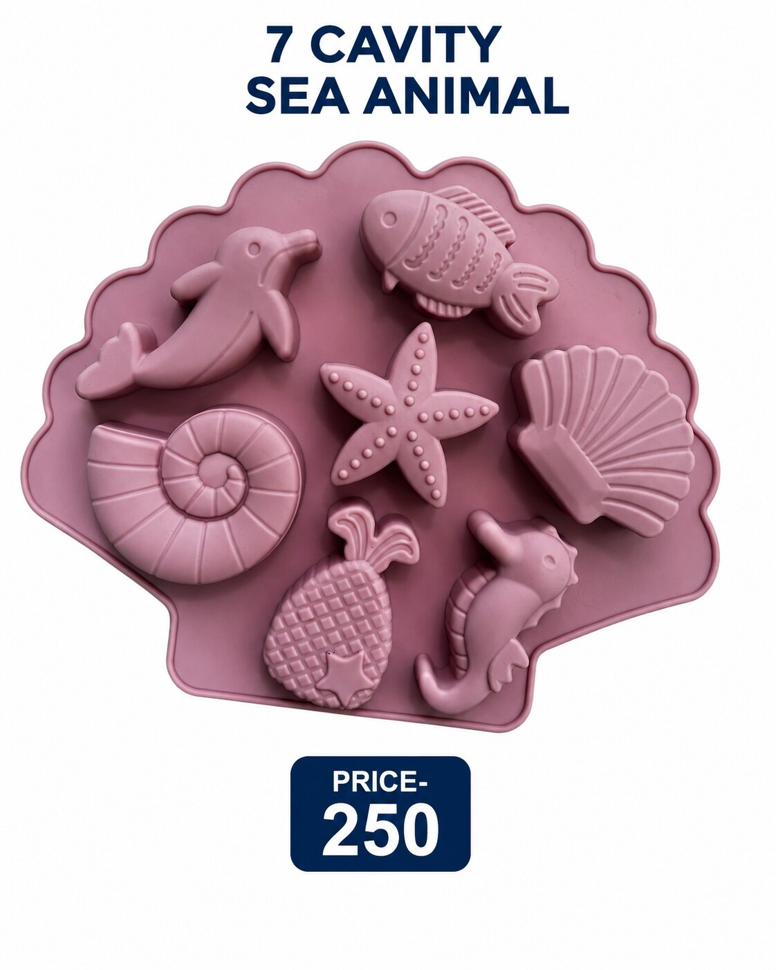 7 Cavity Sea Animal