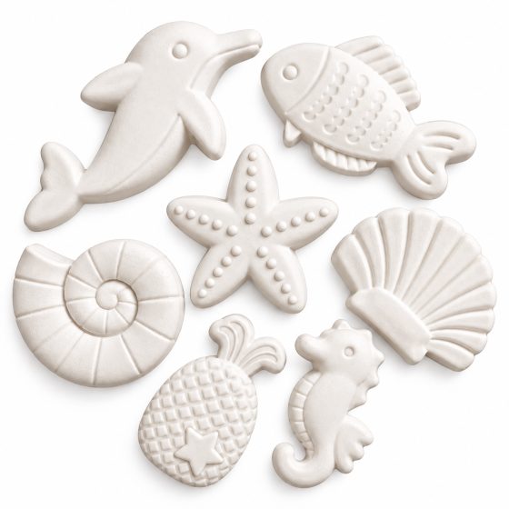 7 Cavity Sea Animal — image 2