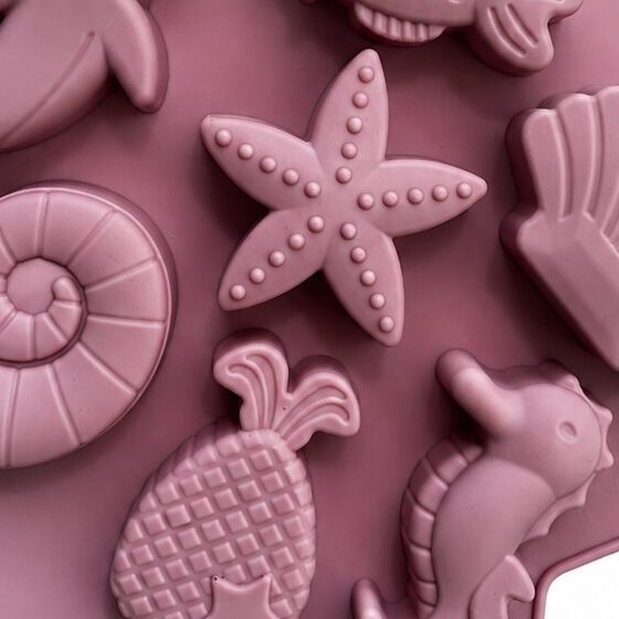 7 Cavity Sea Animal